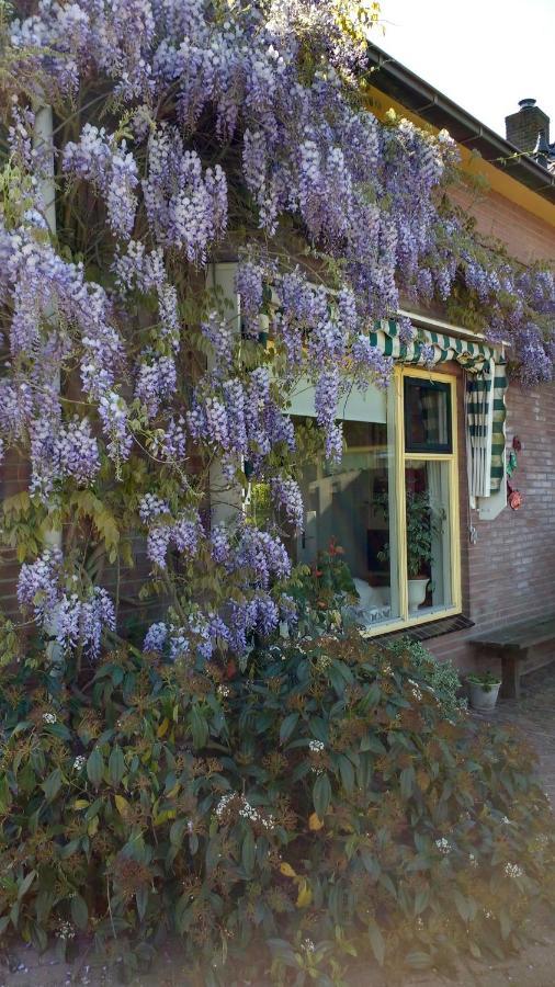 b&b de Vlinder Hardenberg Exterior foto