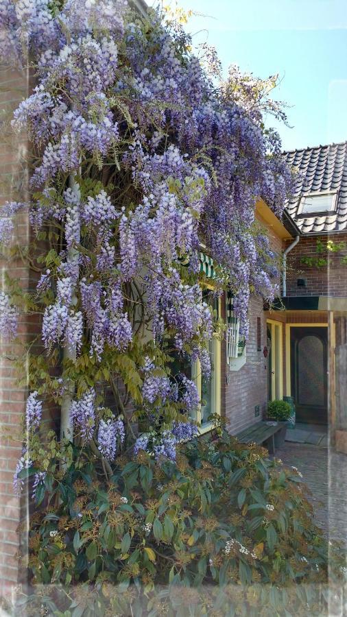 b&b de Vlinder Hardenberg Exterior foto